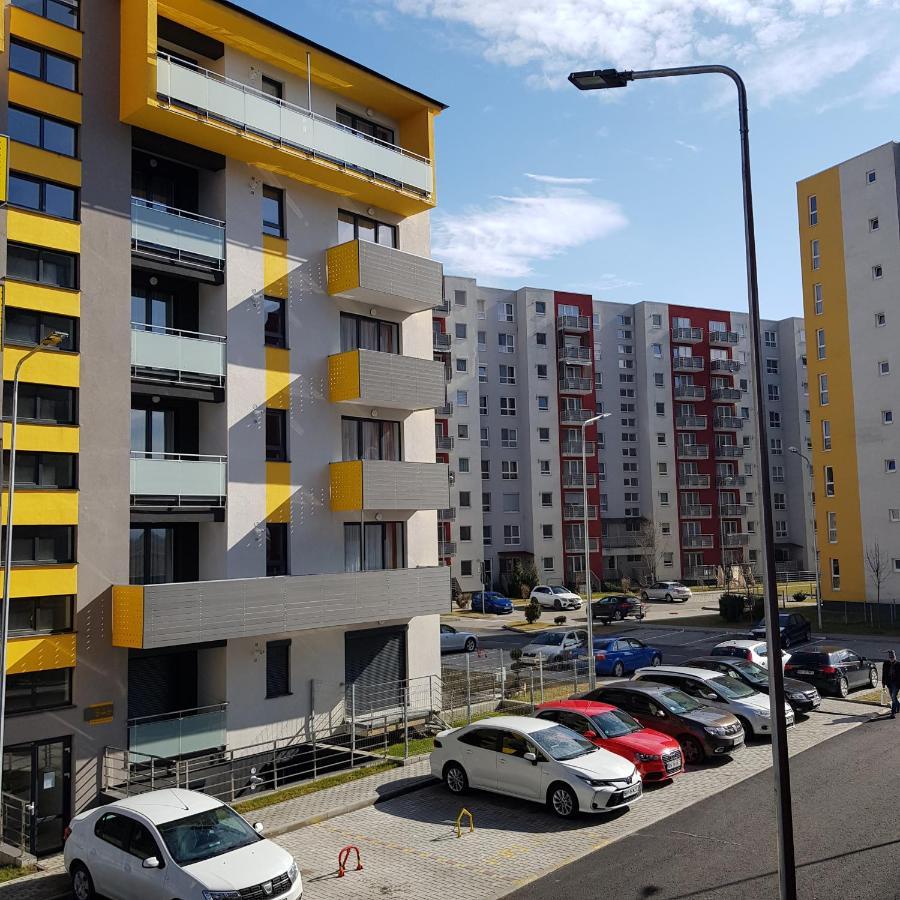 T&M Leilighet Braşov Eksteriør bilde